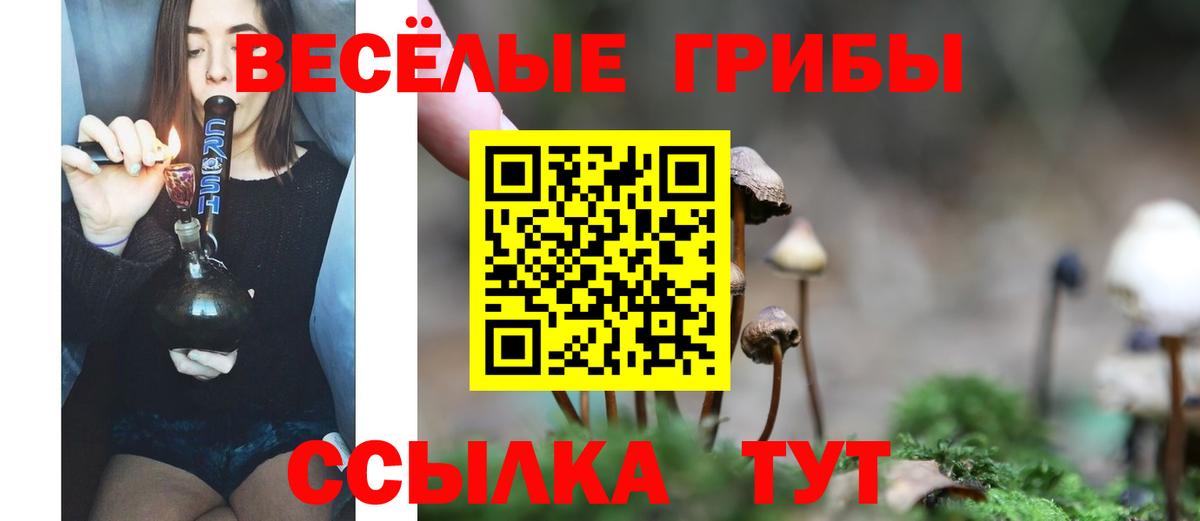 Галлюциногенные грибы GOLDEN TEACHER  Вход с VPN  Котовск  Галлюциногенные грибы GOLDEN TEACHER 